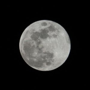 Meet your Posher, Stephen